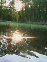 Die Sonne spiegelt sich im See