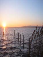 Sonnenaufgang über dem Wolziger See